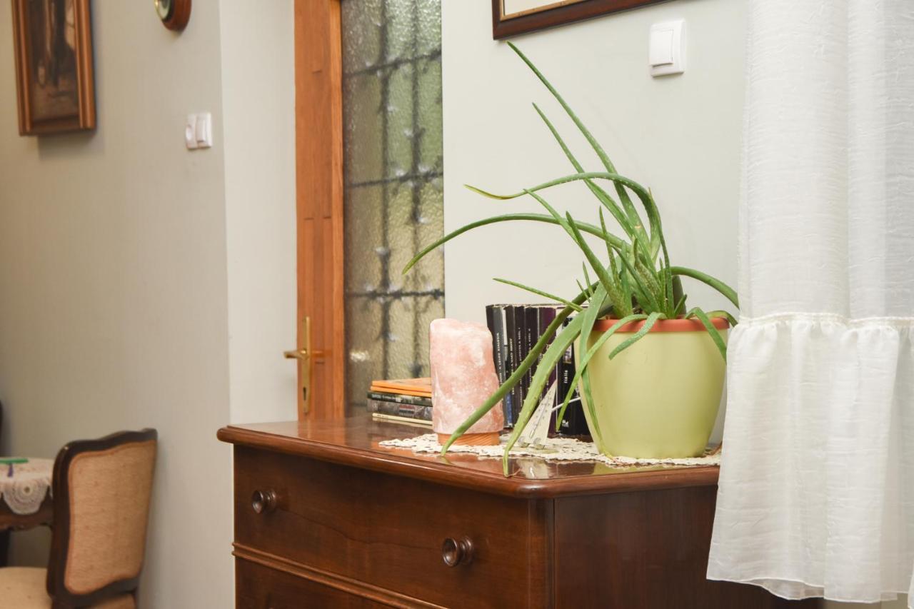 Apartman Woolf Senta Bagian luar foto